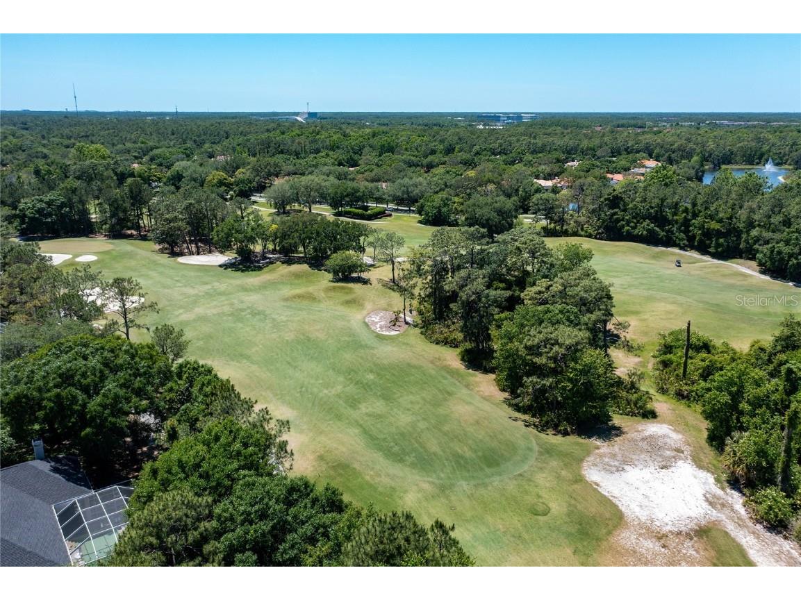 9117 Woodridge Run Drive Tampa FL 33647 TB8421554 image78