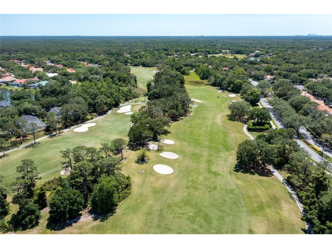 9117 Woodridge Run Drive Tampa FL 33647 TB8421554 image79