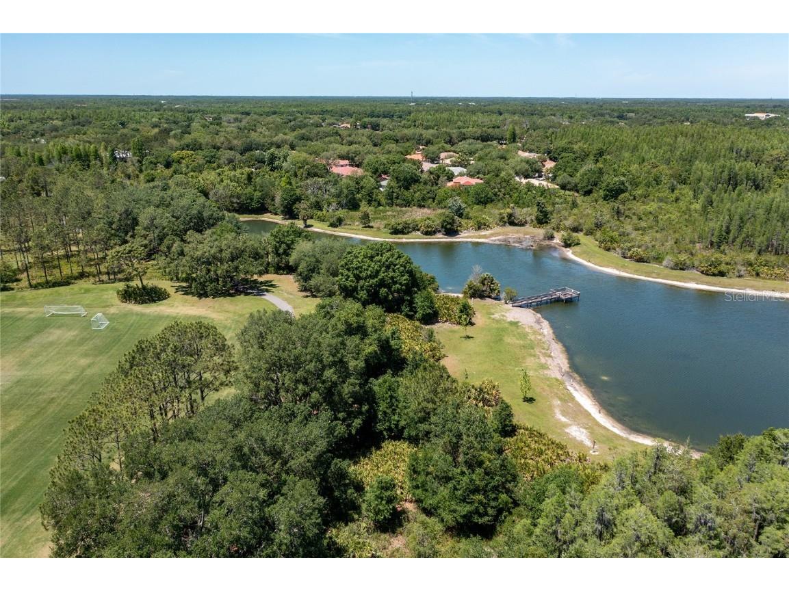 9117 Woodridge Run Drive Tampa FL 33647 TB8421554 image81