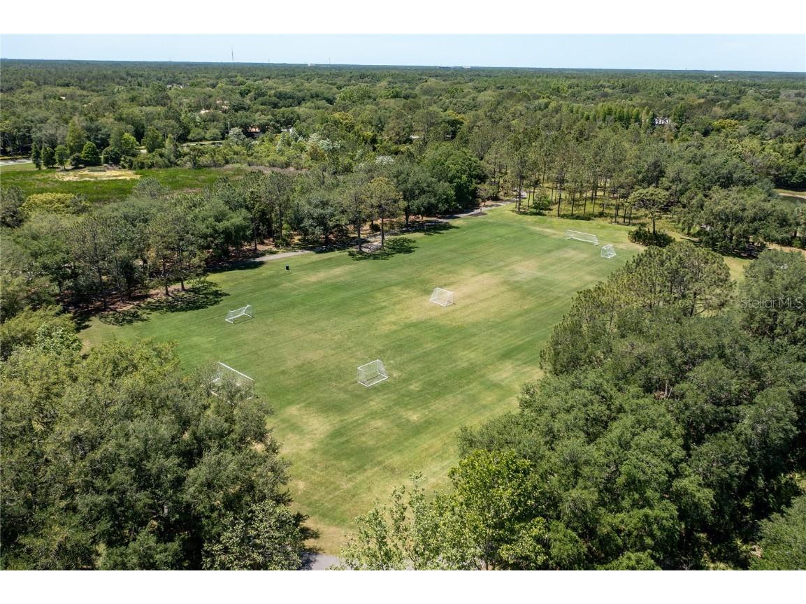 9117 Woodridge Run Drive Tampa FL 33647 TB8421554 image82