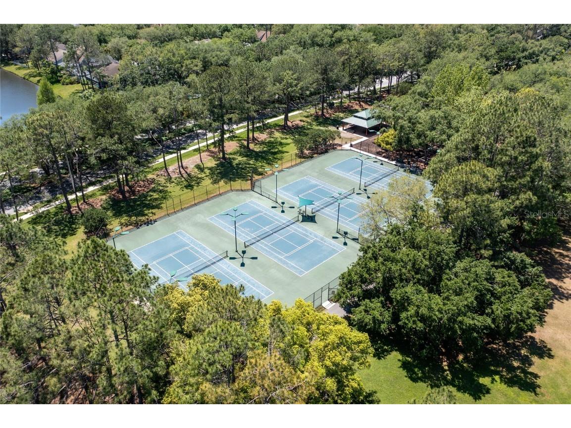 9117 Woodridge Run Drive Tampa FL 33647 TB8421554 image83