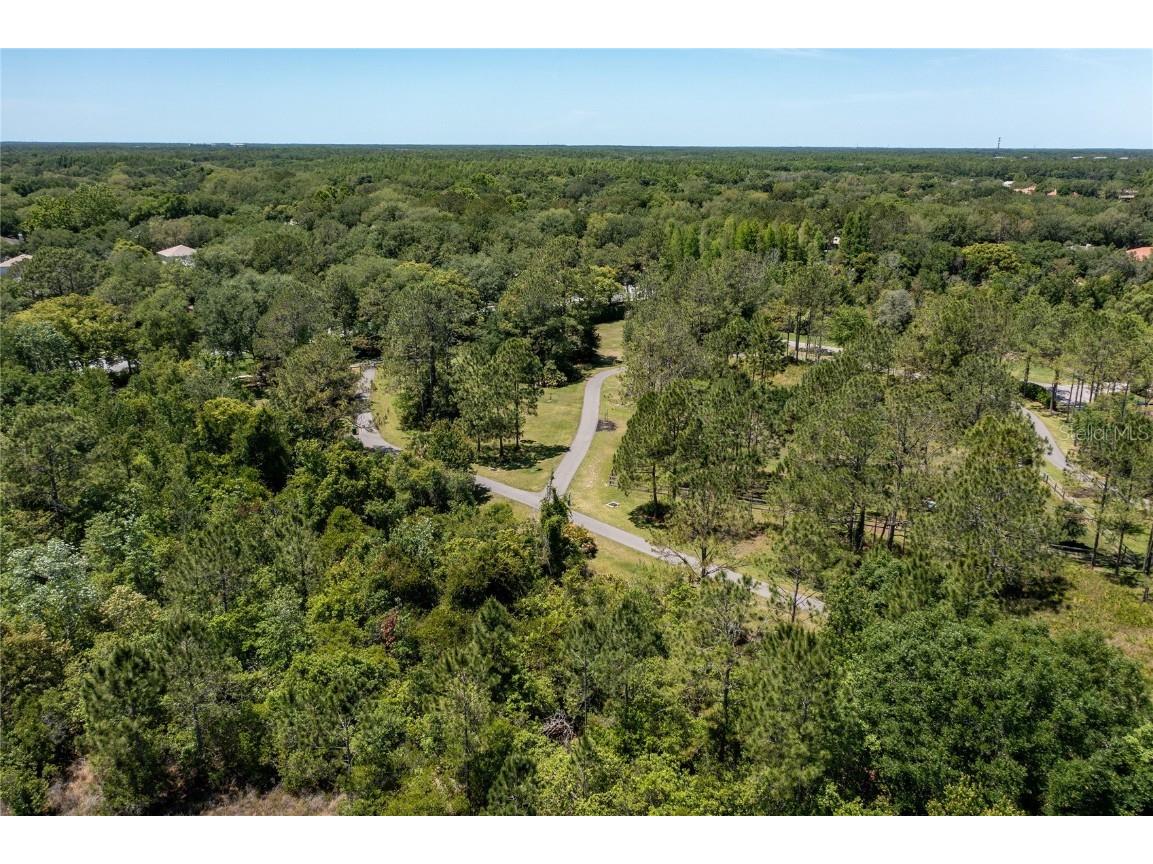 9117 Woodridge Run Drive Tampa FL 33647 TB8421554 image85