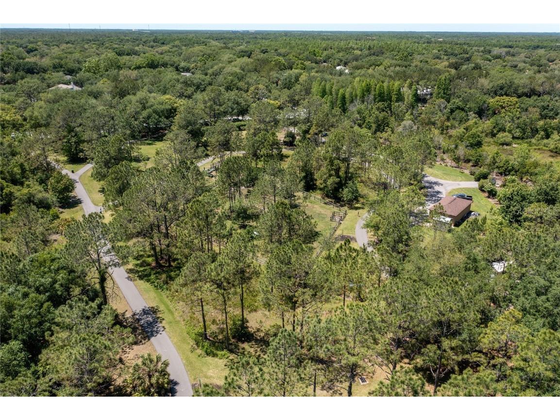 9117 Woodridge Run Drive Tampa FL 33647 TB8421554 image86