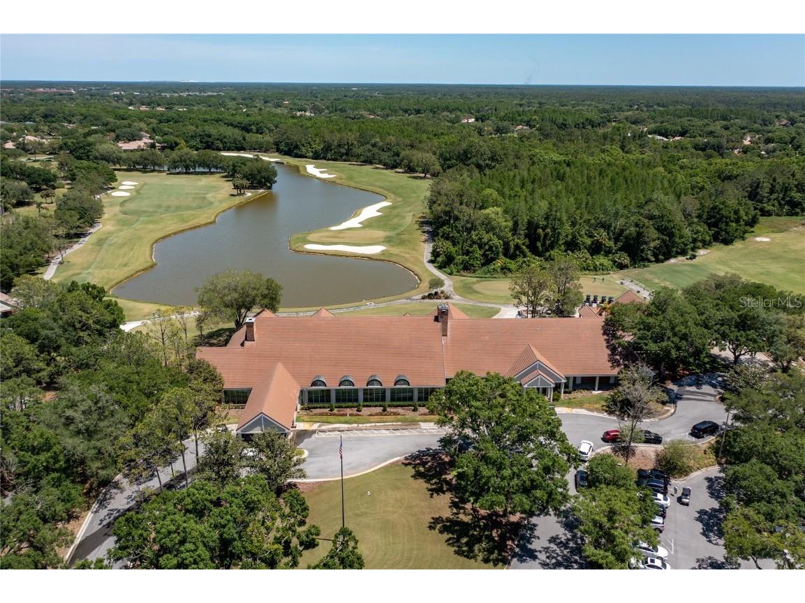 9117 Woodridge Run Drive Tampa FL 33647 TB8421554 image87