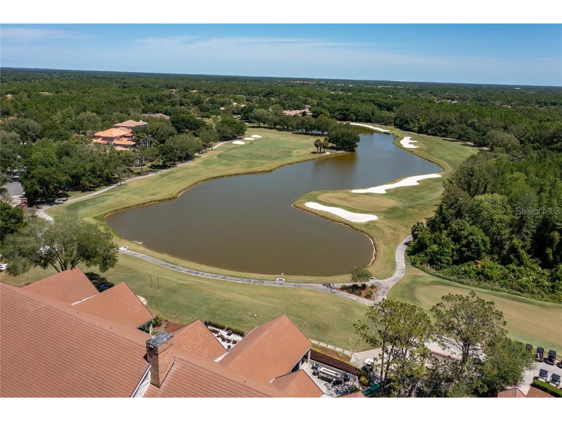 9117 Woodridge Run Drive Tampa FL 33647 TB8421554 image88