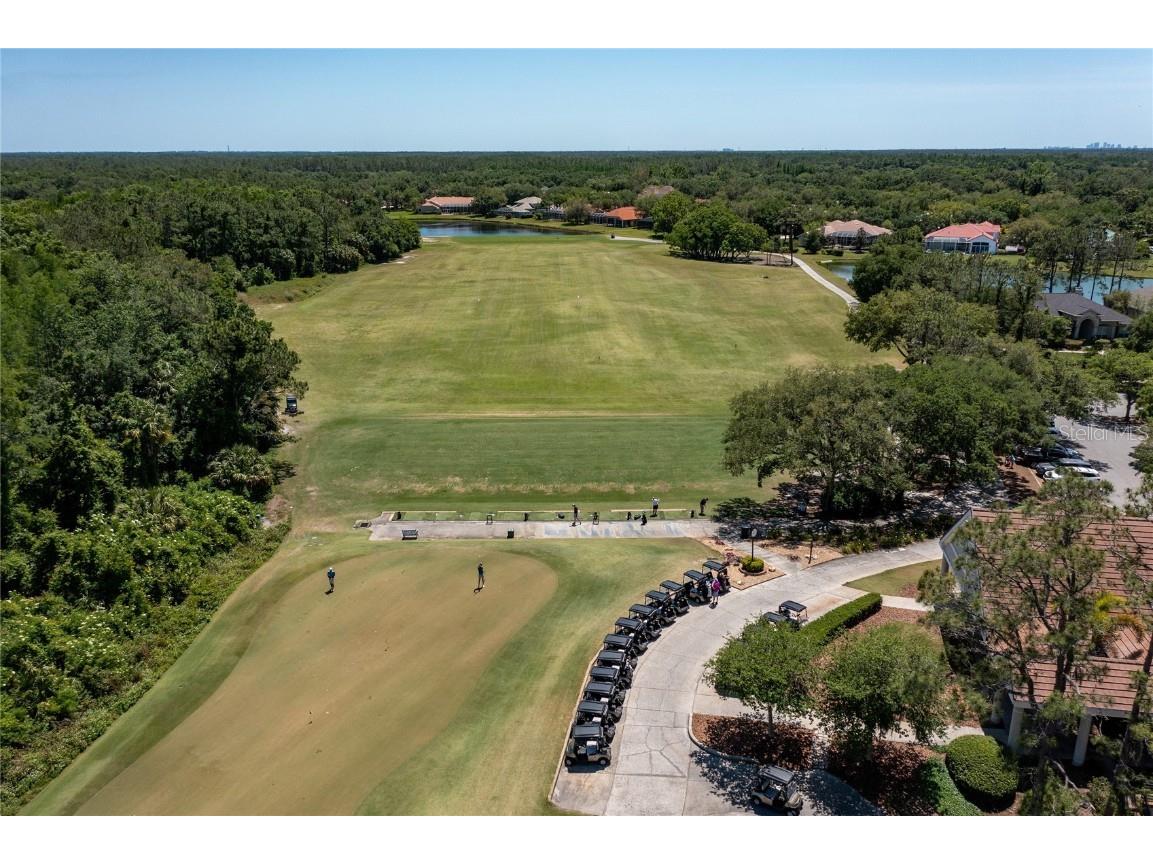 9117 Woodridge Run Drive Tampa FL 33647 TB8421554 image89