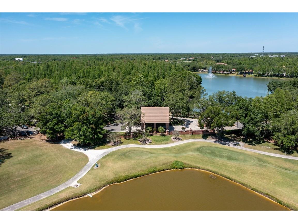 9117 Woodridge Run Drive Tampa FL 33647 TB8421554 image91