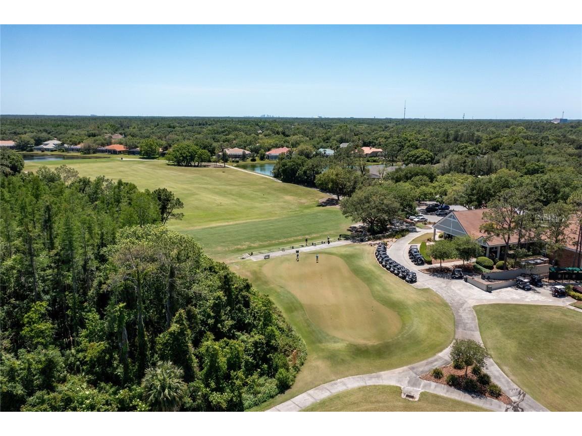 9117 Woodridge Run Drive Tampa FL 33647 TB8421554 image92