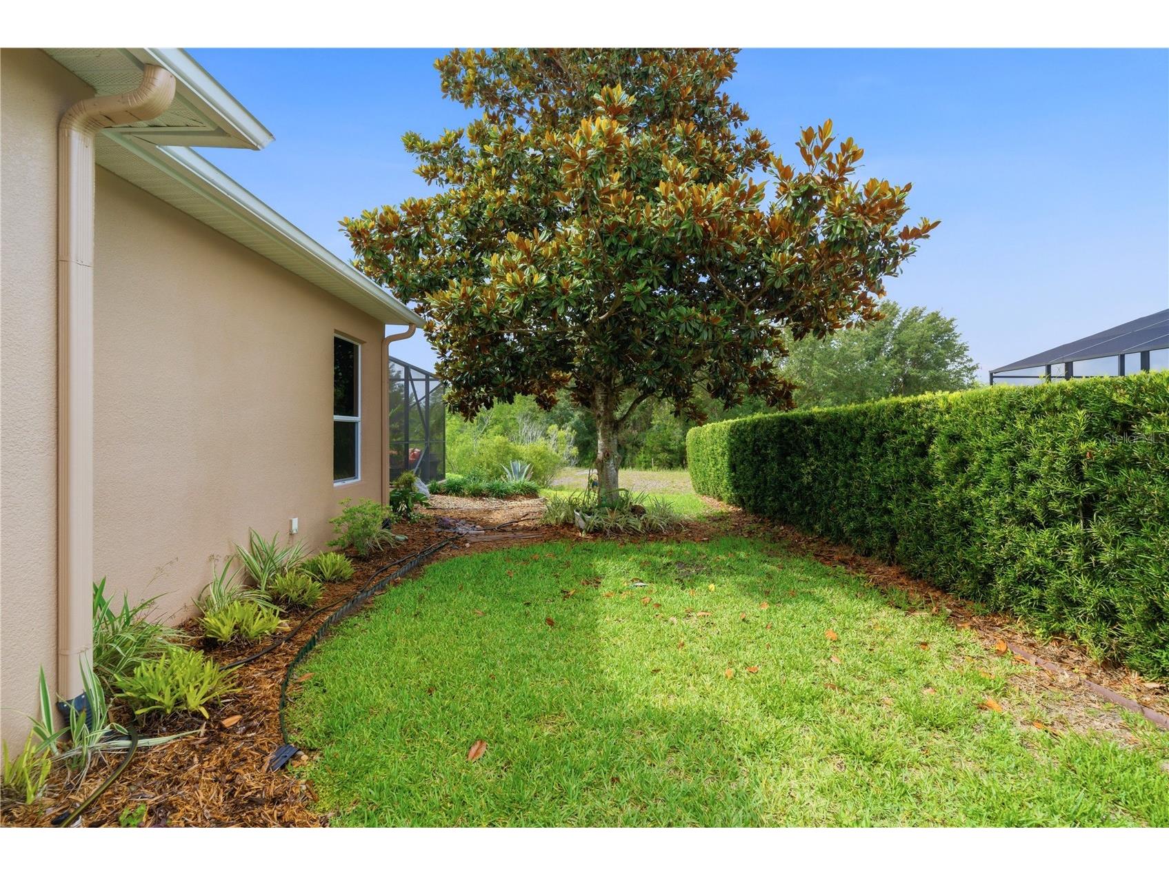 9118 Mississippi Run Weeki Wachee FL 34613 W7886194 image67
