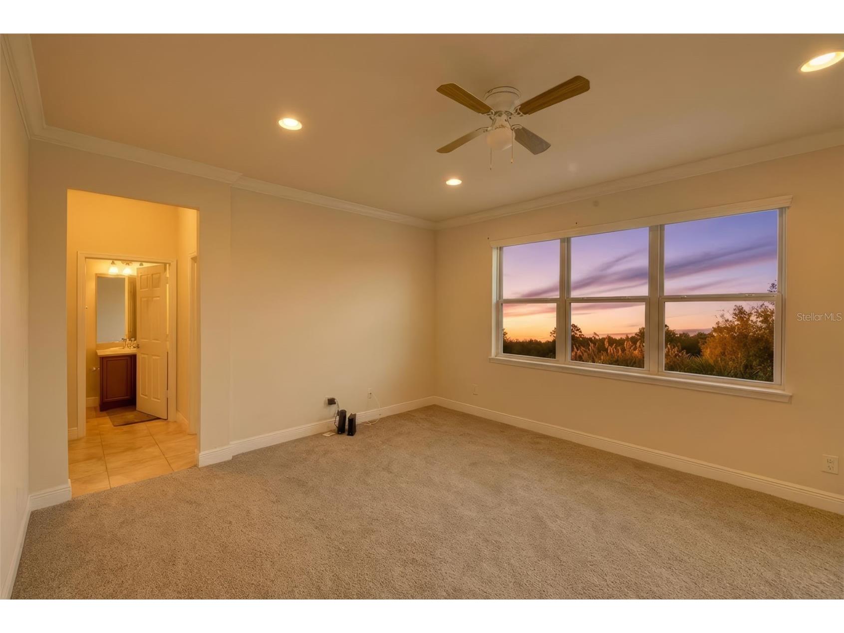 9118 Mountain Magnolia Drive Riverview FL 33578 TB8465051 image11