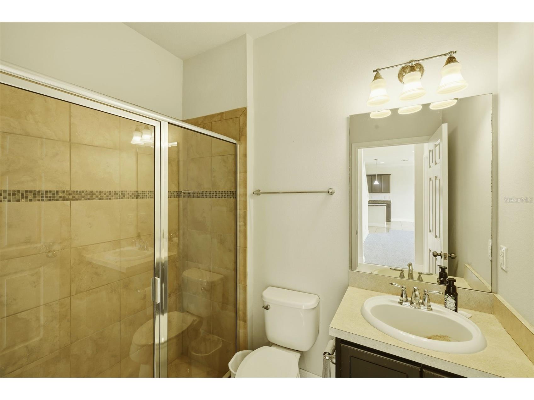 9118 Mountain Magnolia Drive Riverview FL 33578 TB8465051 image14