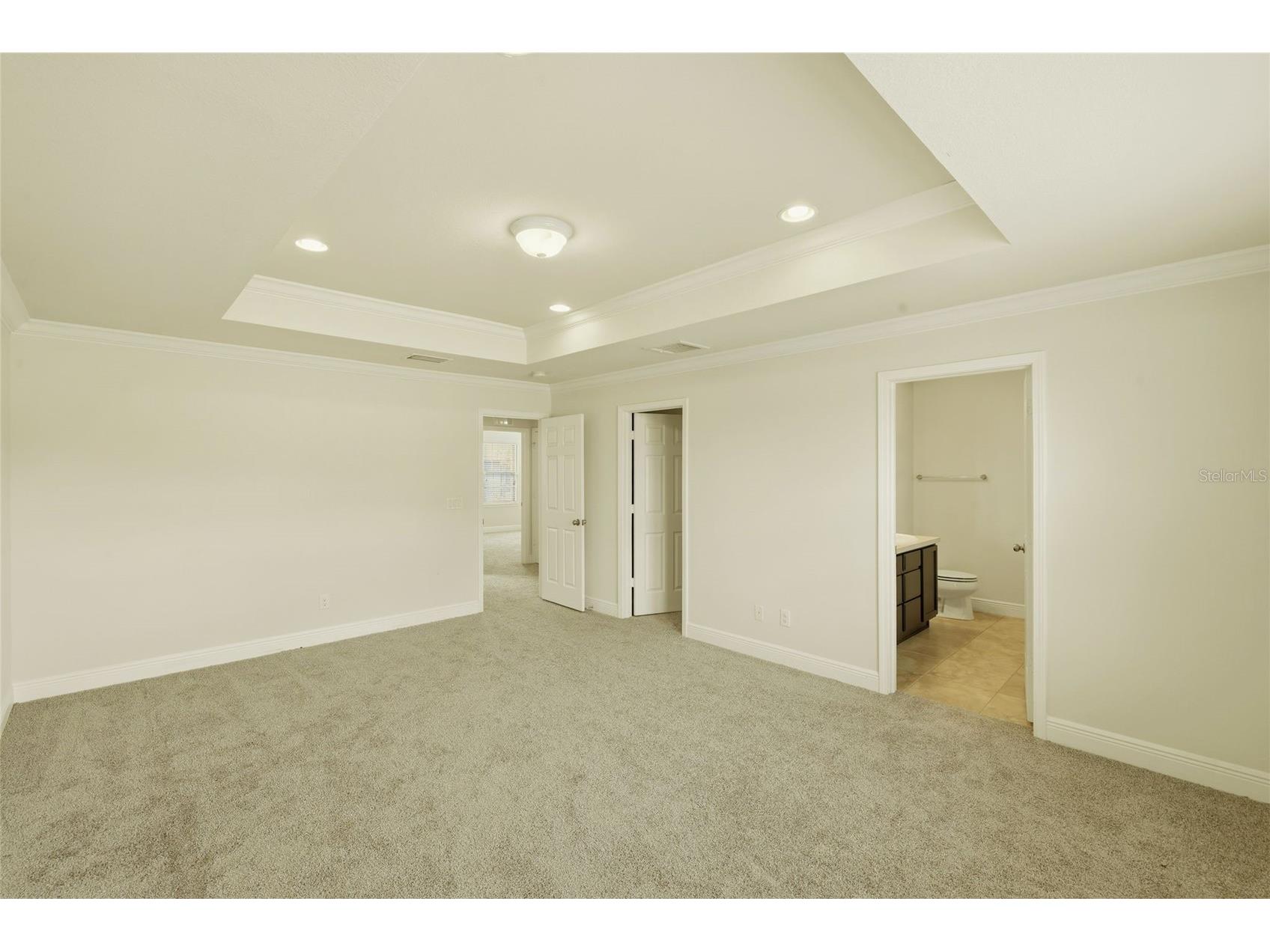 9118 Mountain Magnolia Drive Riverview FL 33578 TB8465051 image20