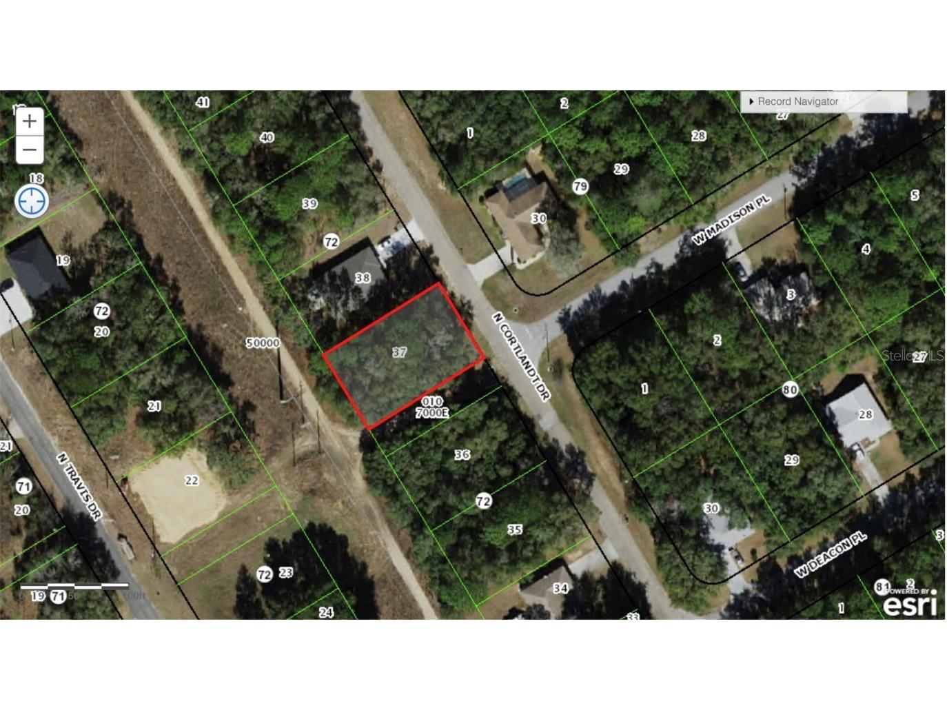 9118 N Cortlandt Drive Citrus Springs FL 34434 N6131422 image1