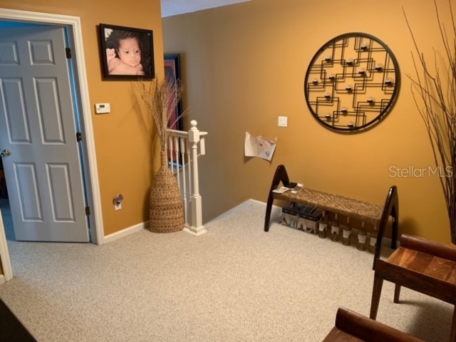 9118 Sabal Pine Way Orlando FL 32832 O6413027 image7
