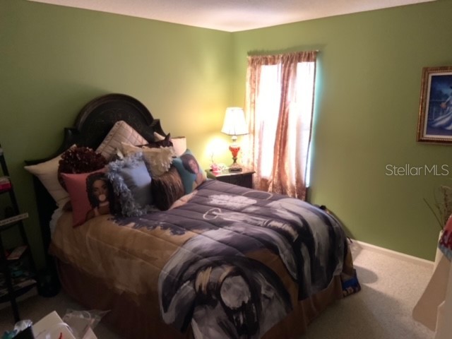 9118 Sabal Pine Way Orlando FL 32832 O6413027 image8