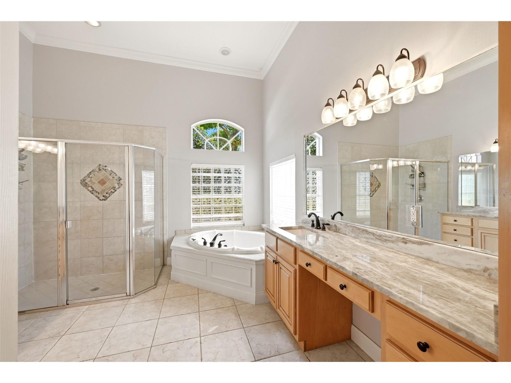 9119 Balmoral Mews Sq Windermere FL 34786 S5146725 image19