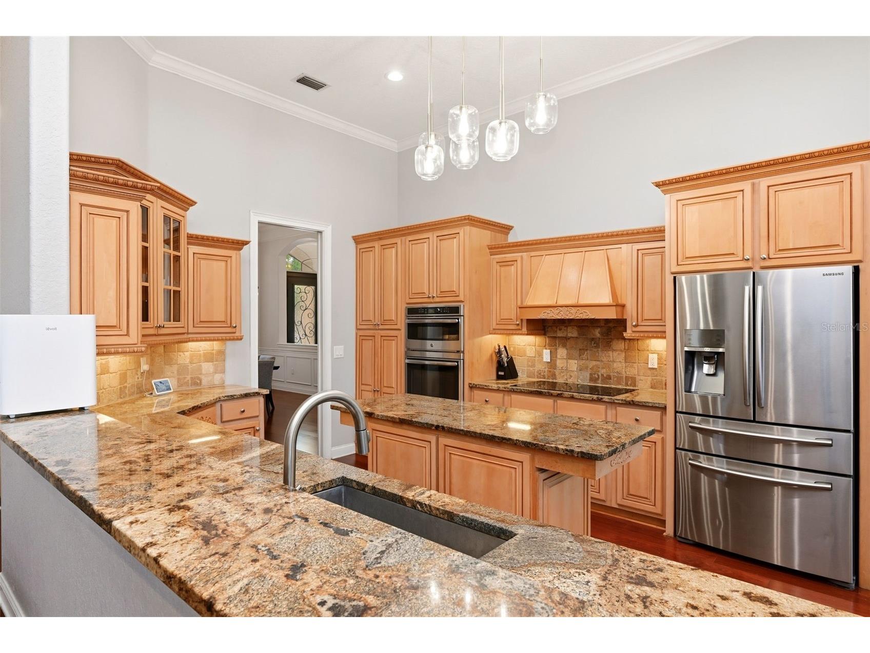 9119 Balmoral Mews Sq Windermere FL 34786 S5146725 image24