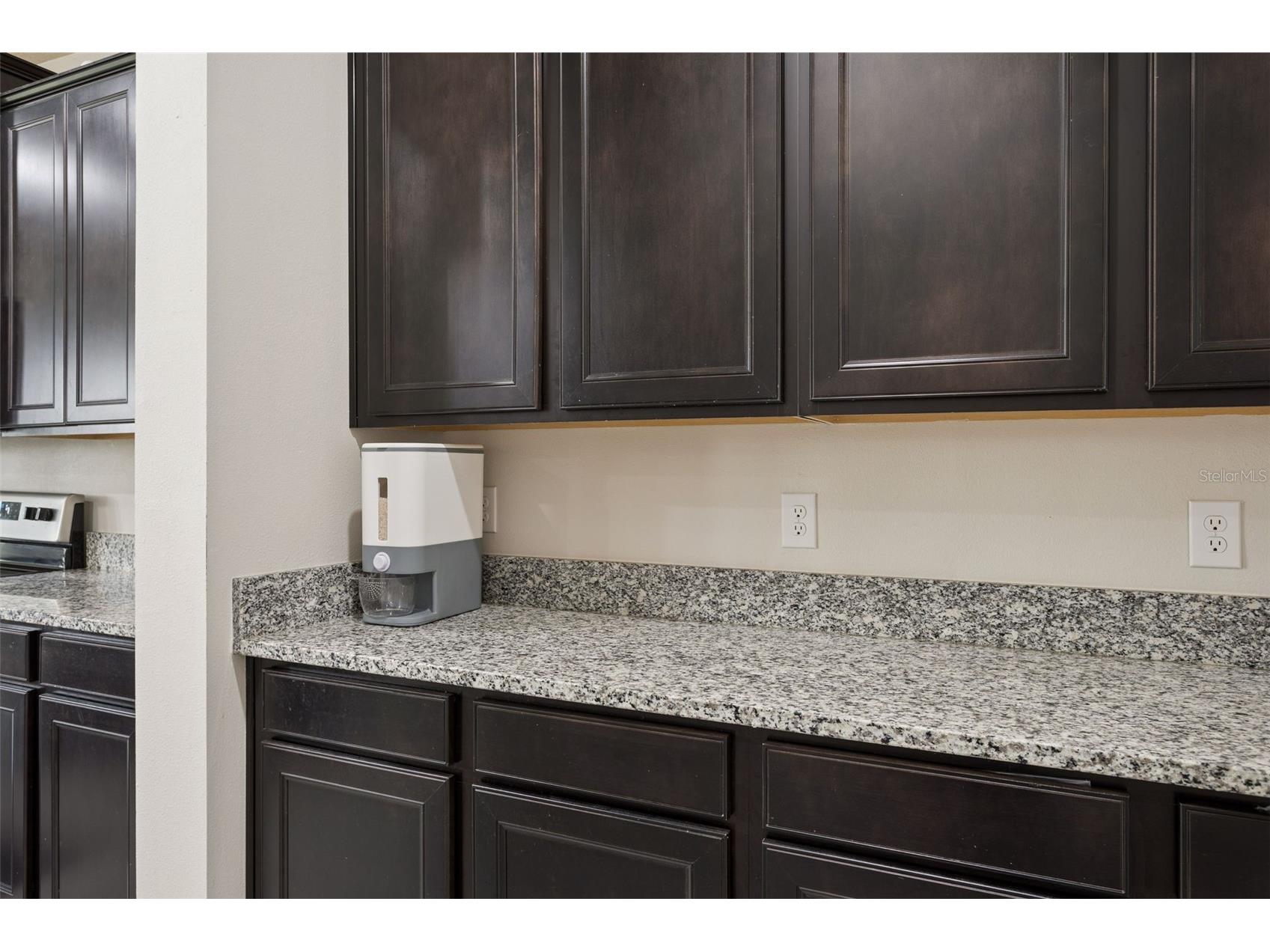 9119 Forge Breeze Loop Wesley Chapel FL 33545 TB8507452 image10