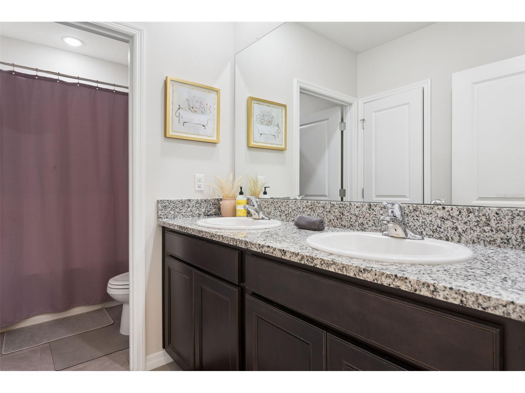 9119 Forge Breeze Loop Wesley Chapel FL 33545 TB8507452 image21