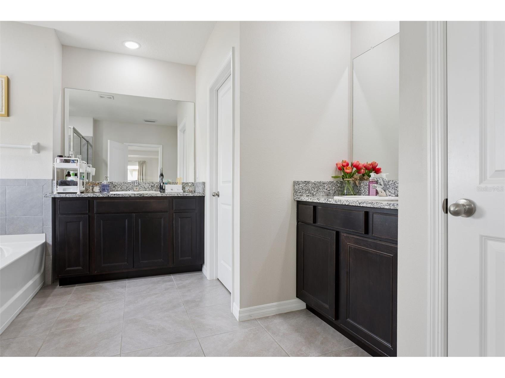9119 Forge Breeze Loop Wesley Chapel FL 33545 TB8507452 image25