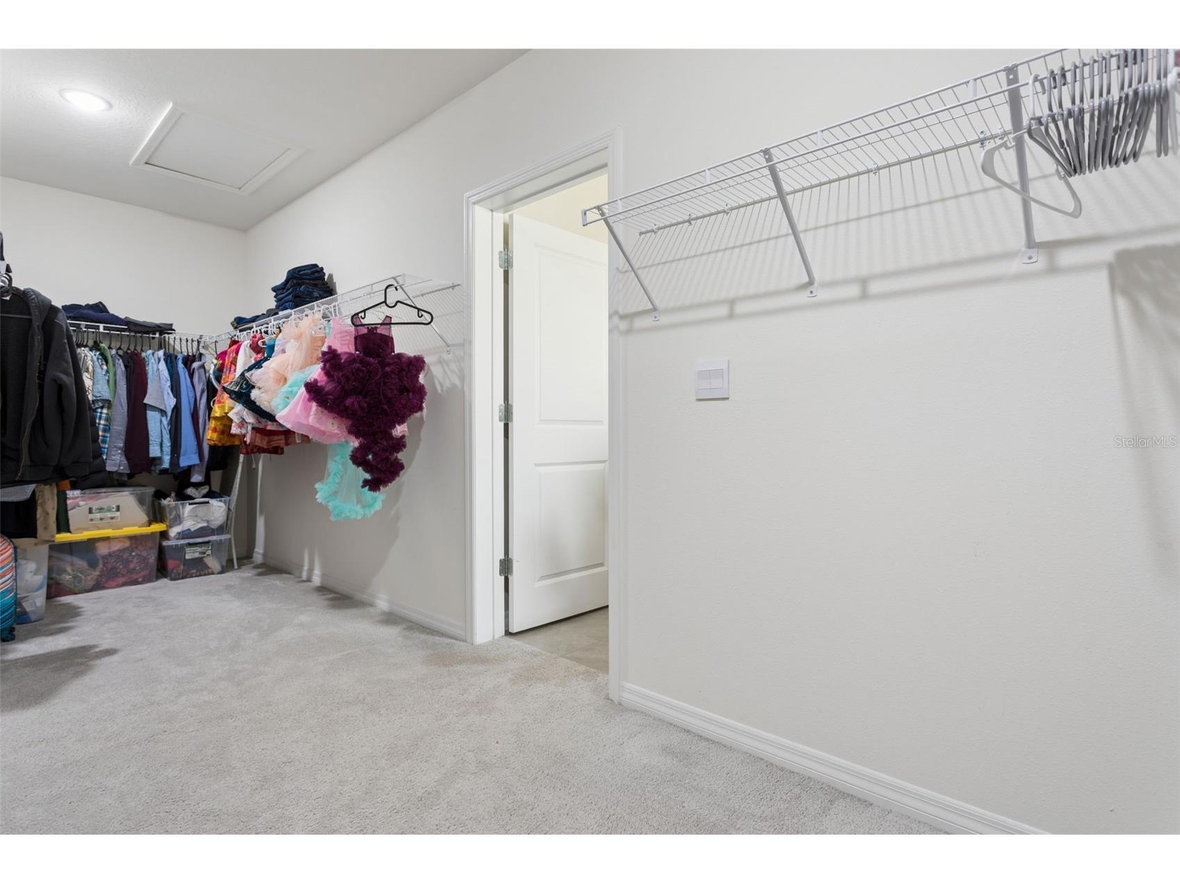 9119 Forge Breeze Loop Wesley Chapel FL 33545 TB8507452 image27