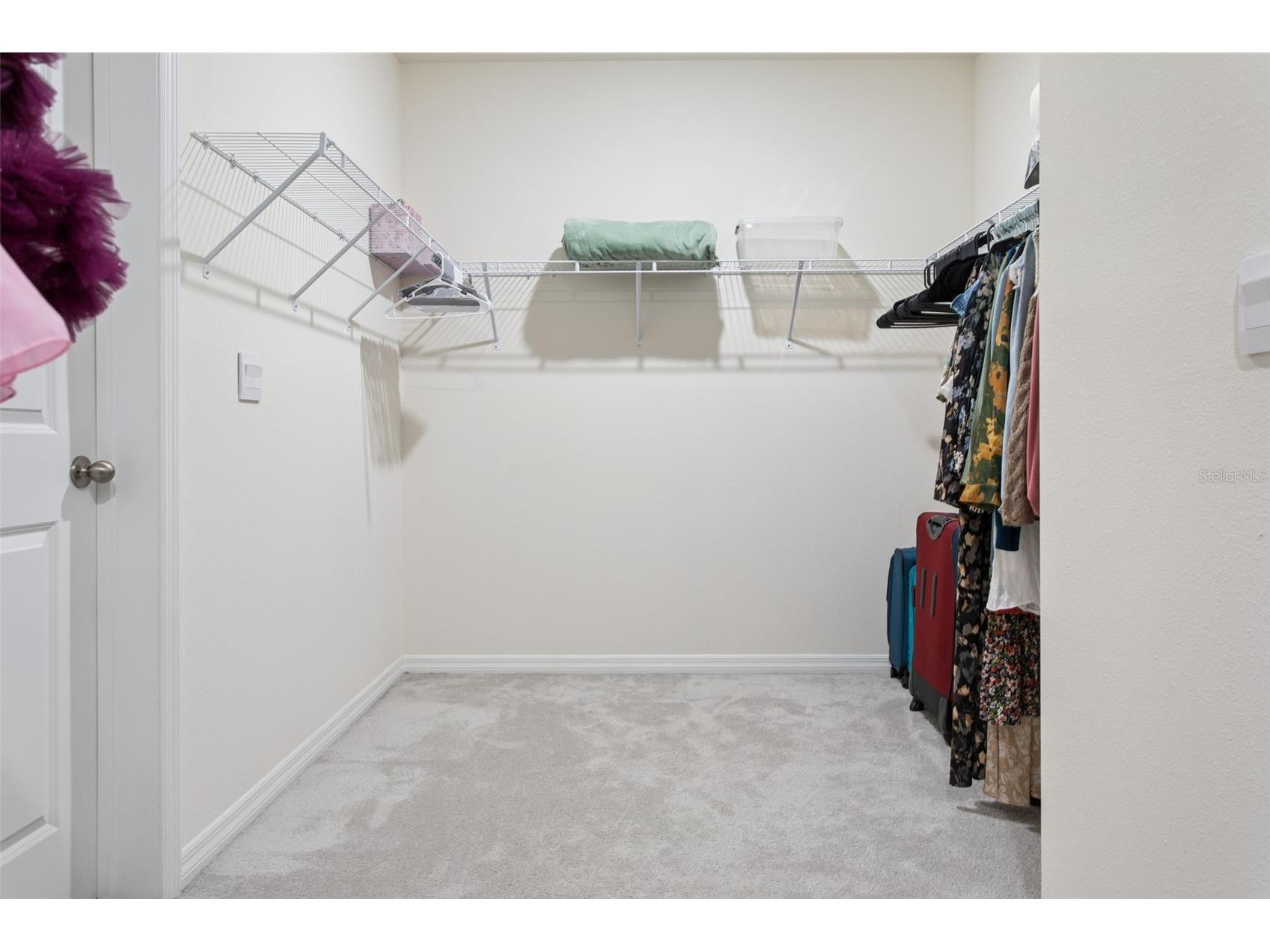 9119 Forge Breeze Loop Wesley Chapel FL 33545 TB8507452 image28