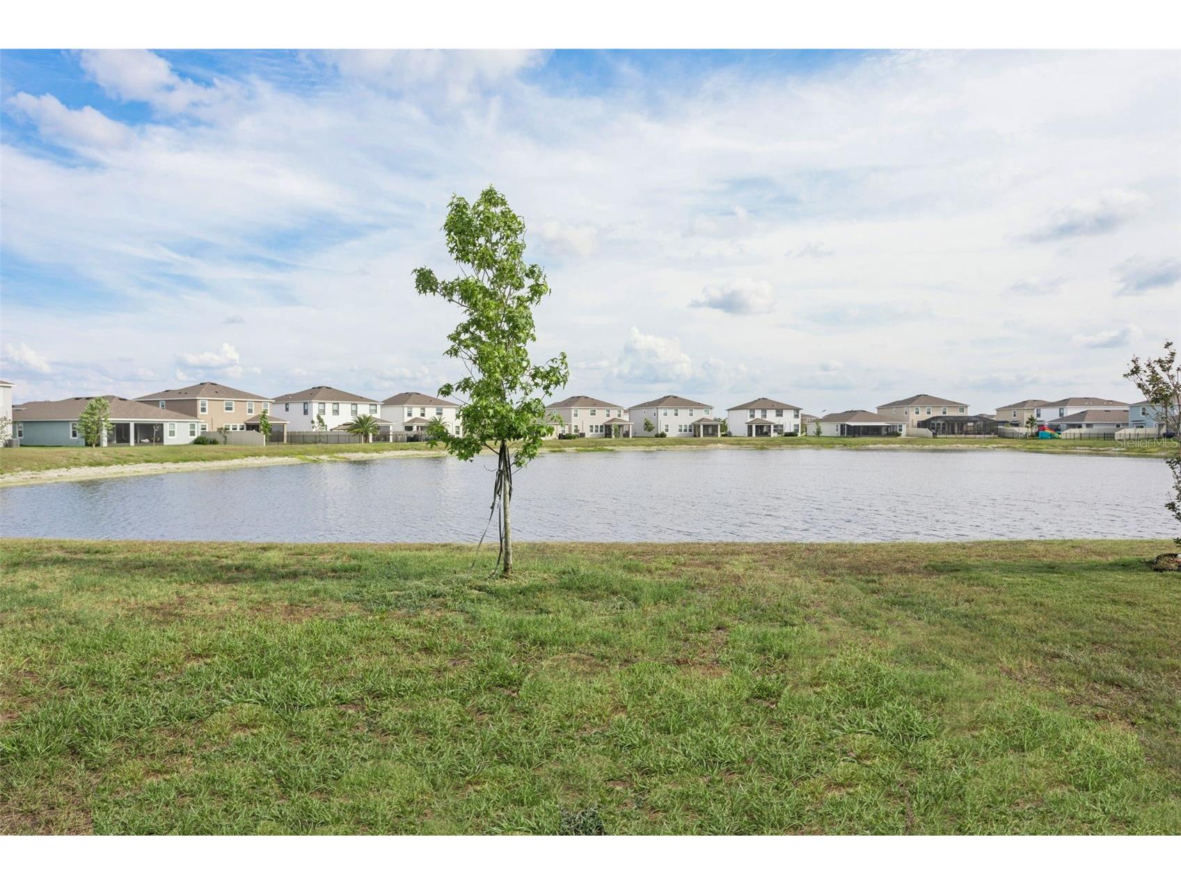 9119 Forge Breeze Loop Wesley Chapel FL 33545 TB8507452 image34