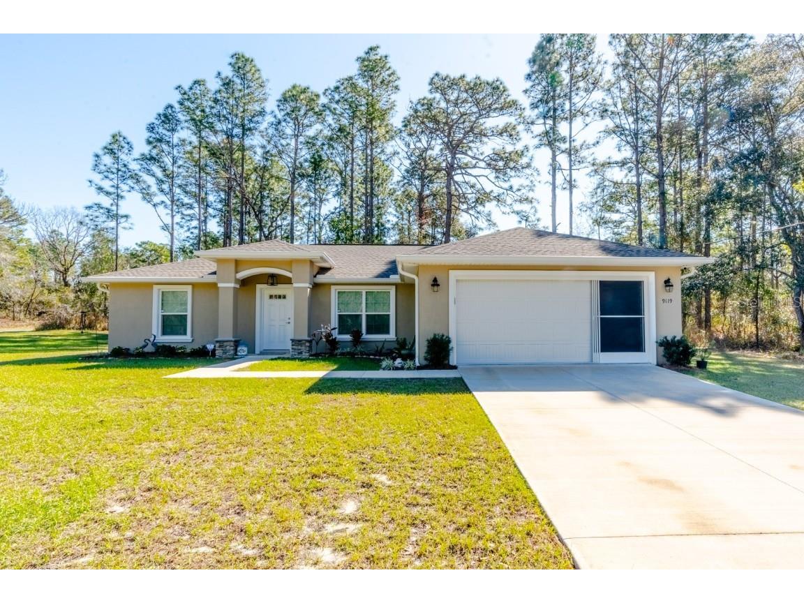 9119 N Saponaria Drive Citrus Springs FL 34433 W7872888 image1