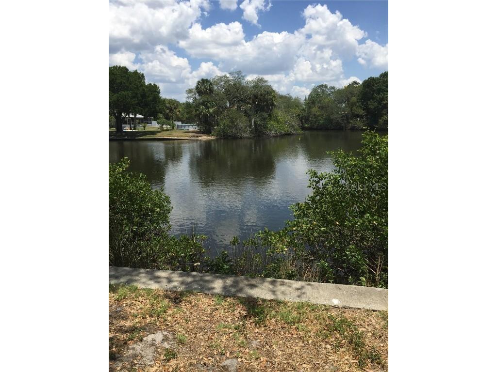 9119 Tudor Drive #E102 Tampa FL 33615 TB8441781 image8