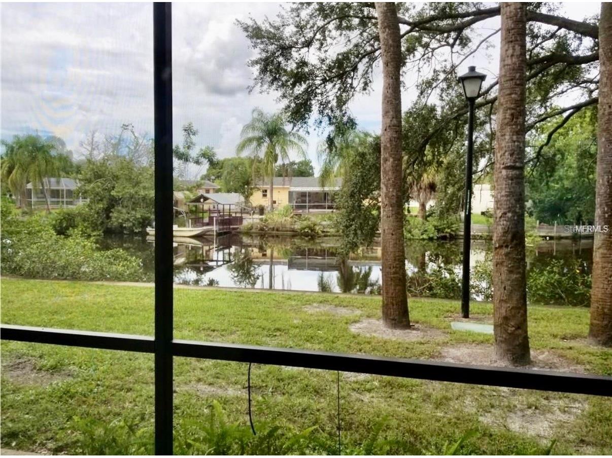 9119 Tudor Drive #E105 Tampa FL 33615 TB8486119 image2