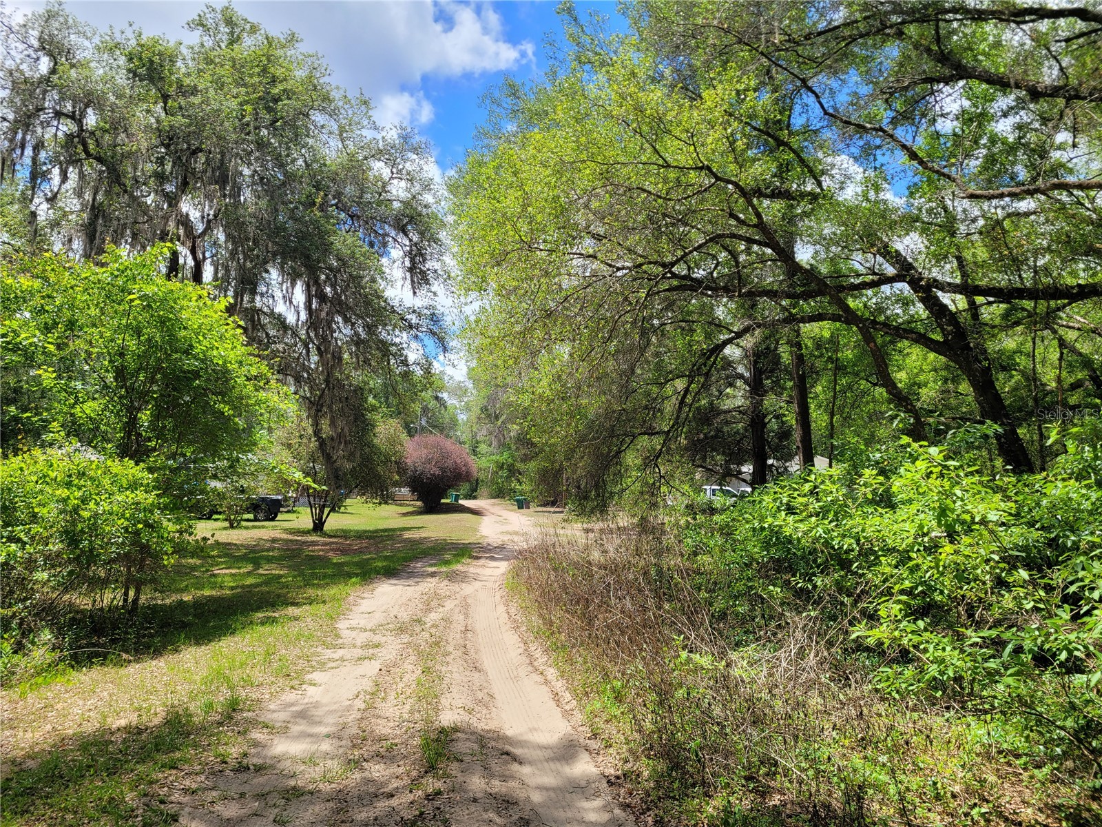 912 Ferncreek Avenue Inverness FL 34453 TB8503835 image2