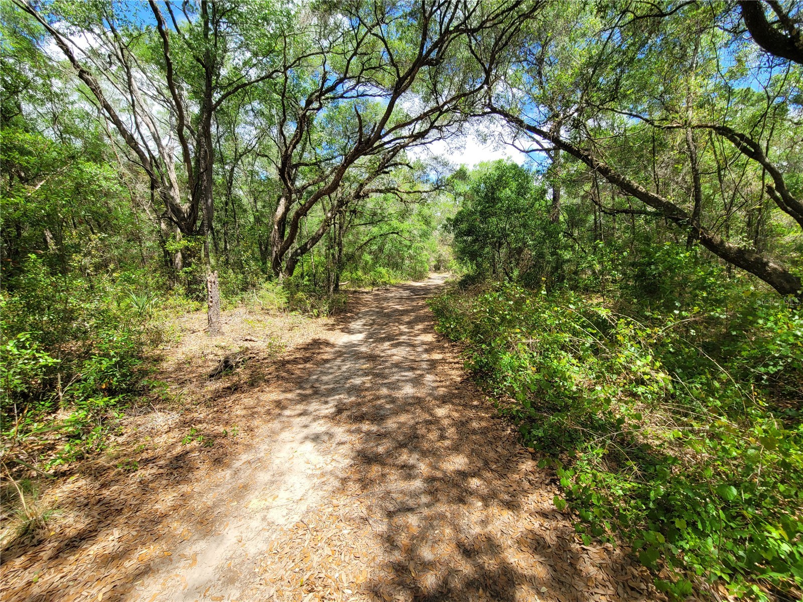 912 Ferncreek Avenue Inverness FL 34453 TB8503835 image3