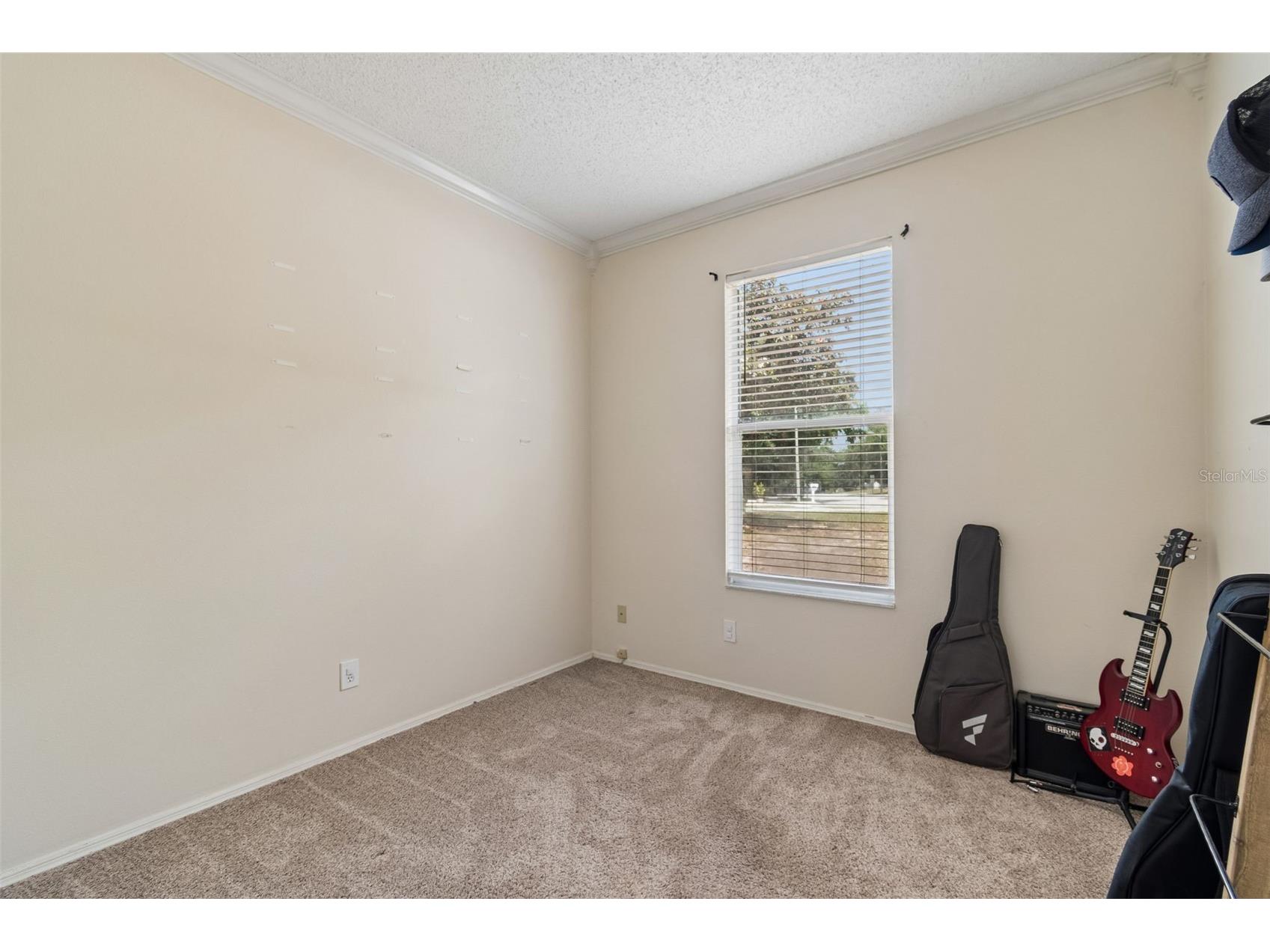 912 Grand Canyon Drive Valrico FL 33594 TB8506623 image18
