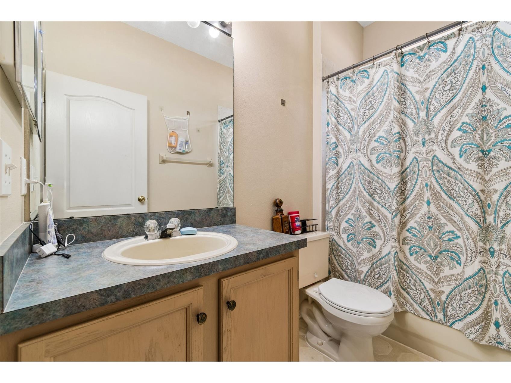 912 Grand Canyon Drive Valrico FL 33594 TB8506623 image21