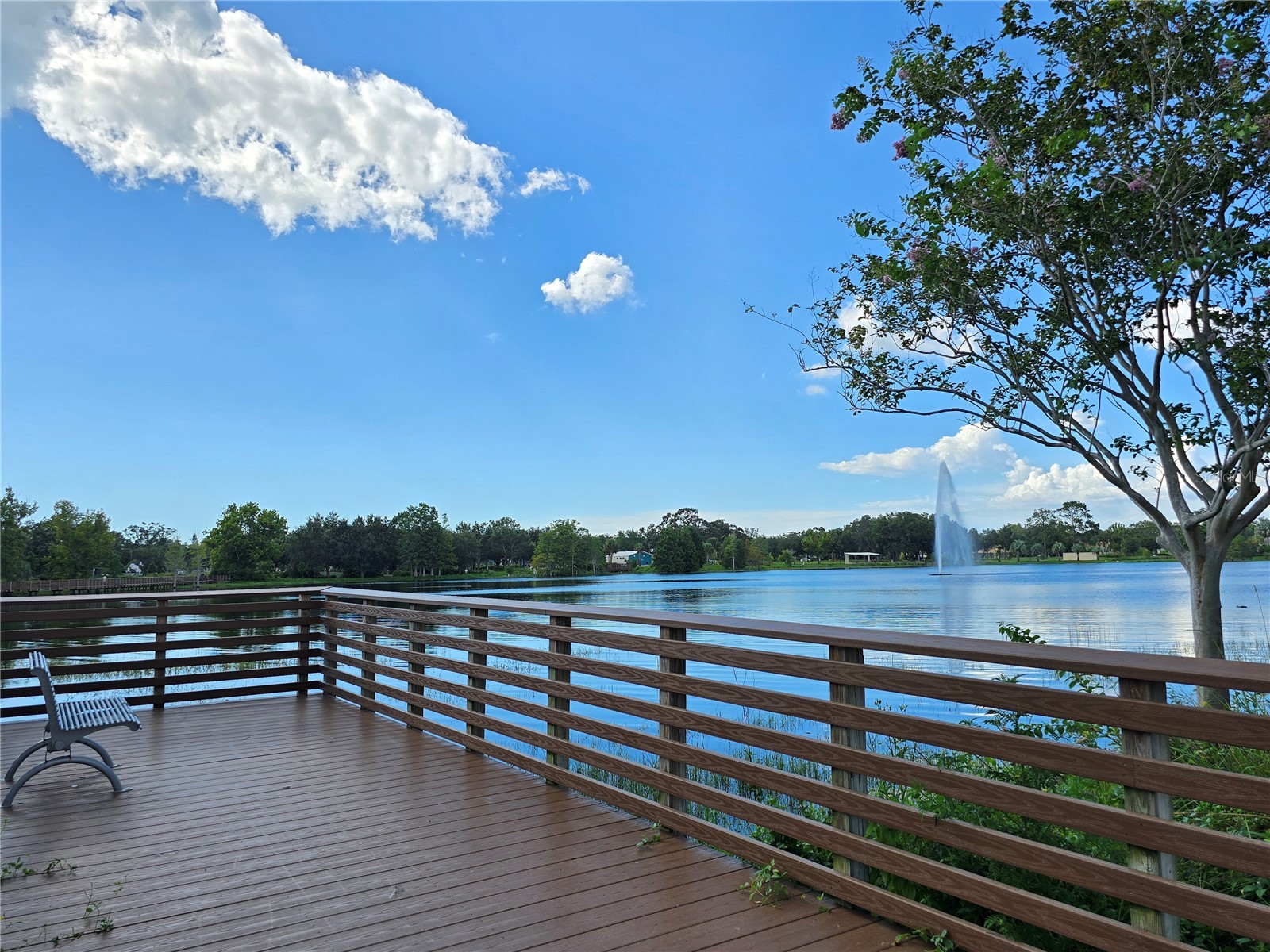 912 Grand Central St Clearwater FL 33756 TB8455968 image67