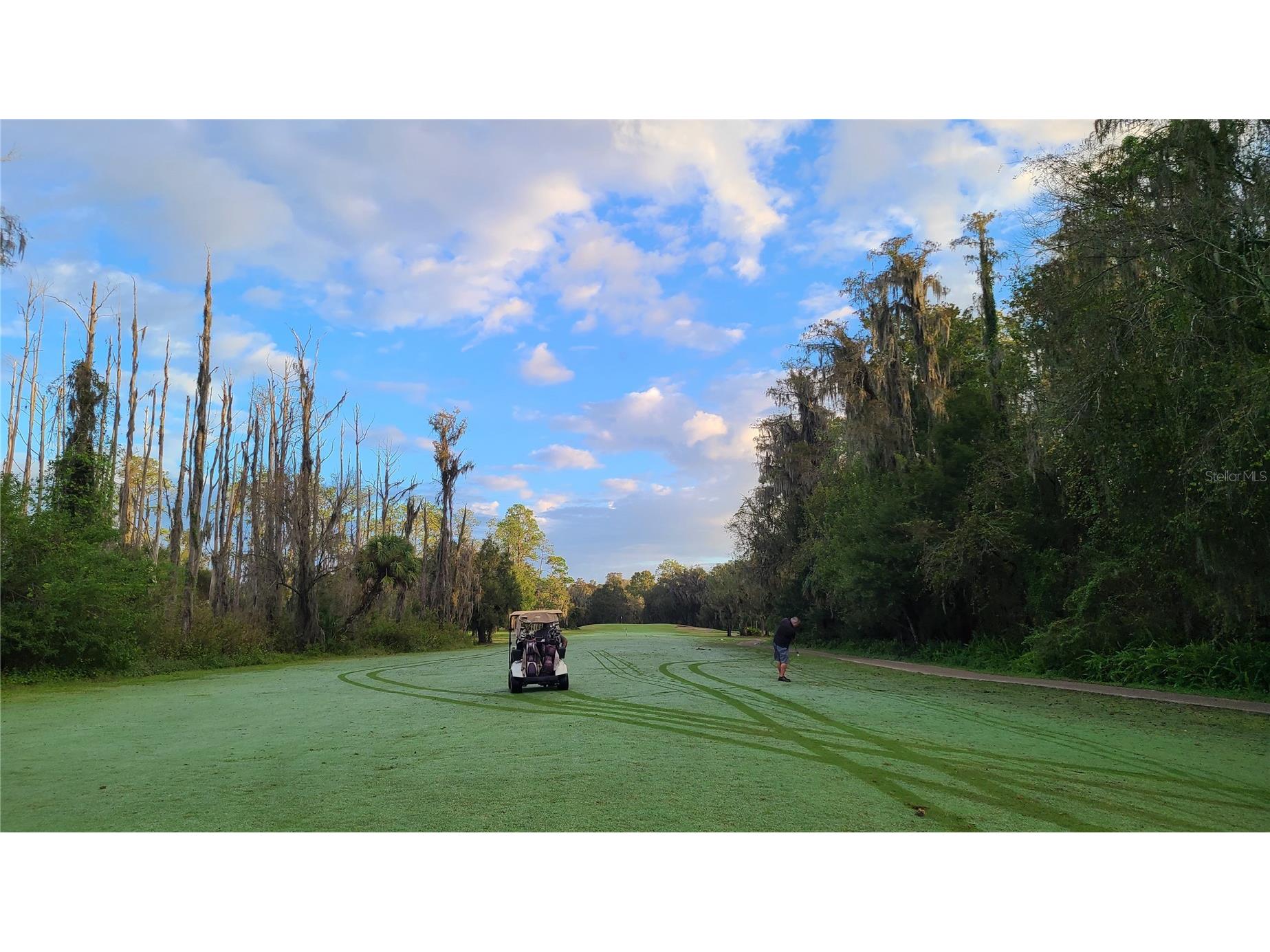 912 Grand Central St Clearwater FL 33756 TB8455968 image71