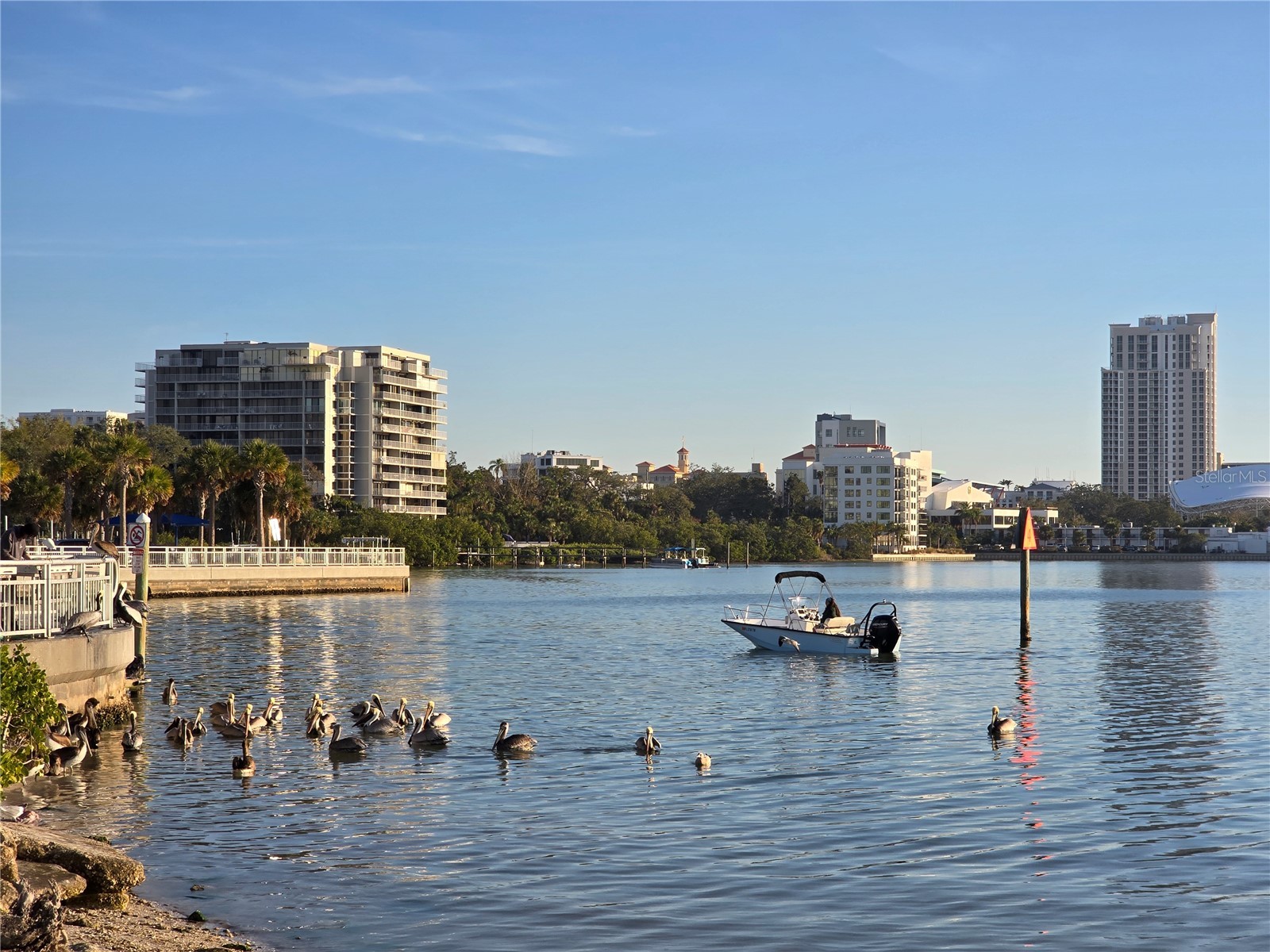 912 Grand Central St Clearwater FL 33756 TB8455968 image73