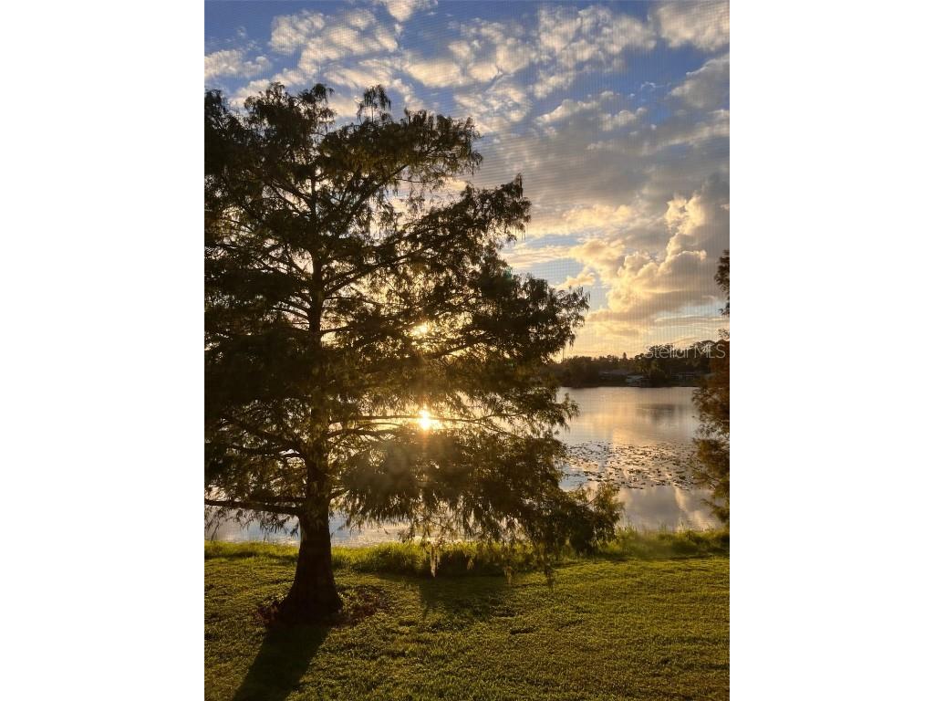 912 Lake Destiny Road #G Altamonte Springs FL 32714 O6272523 image24