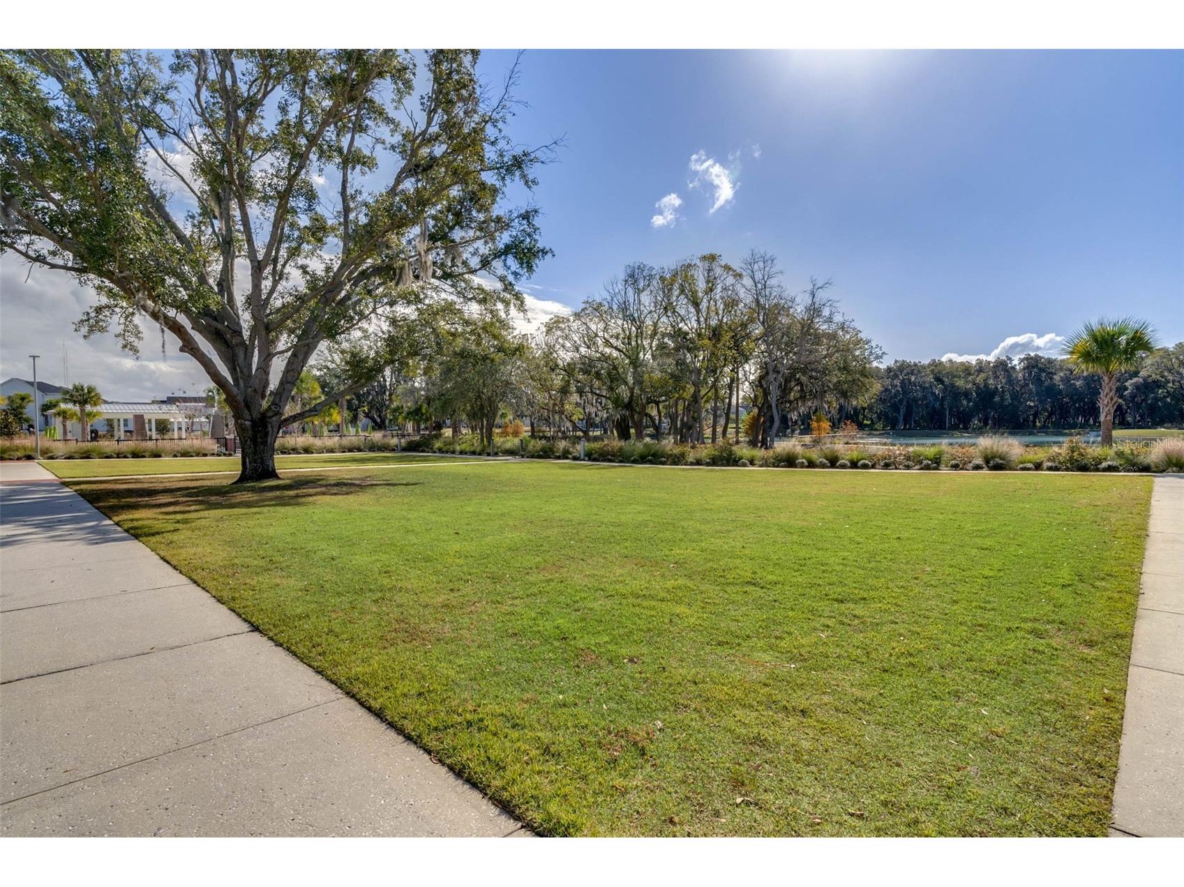 912 Landrum Drive Winter Garden FL 34787 O6407616 image54