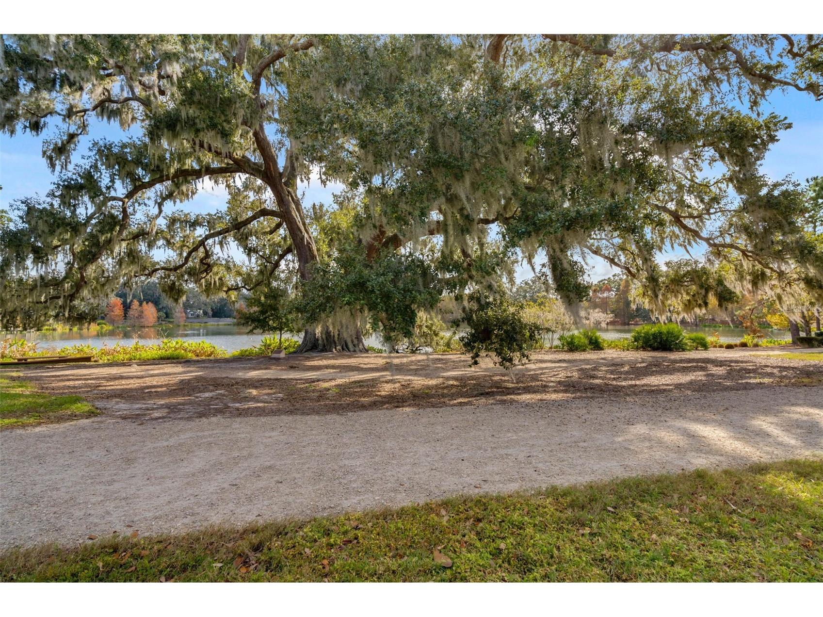 912 Landrum Drive Winter Garden FL 34787 O6407616 image55