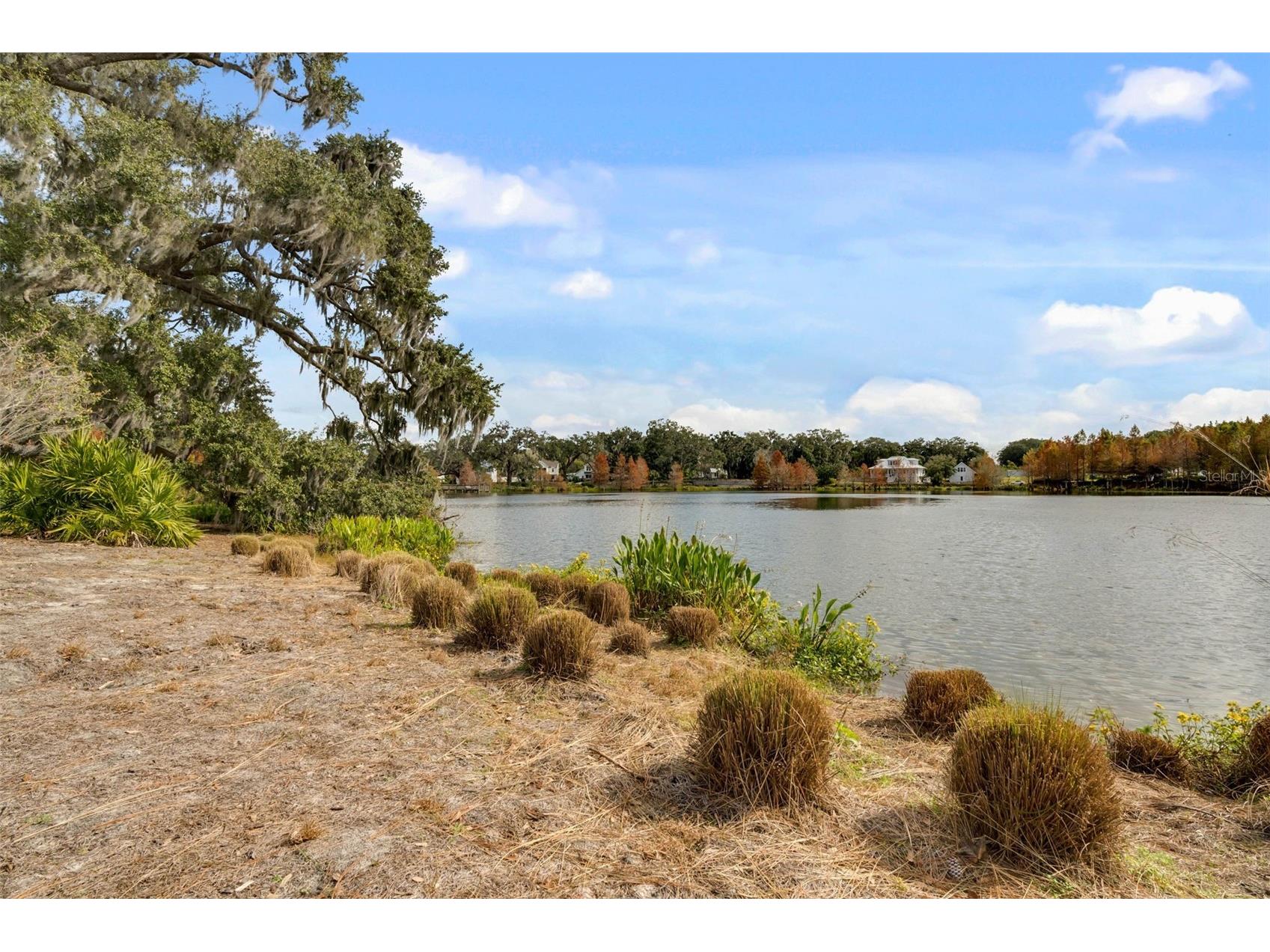 912 Landrum Drive Winter Garden FL 34787 O6407616 image57