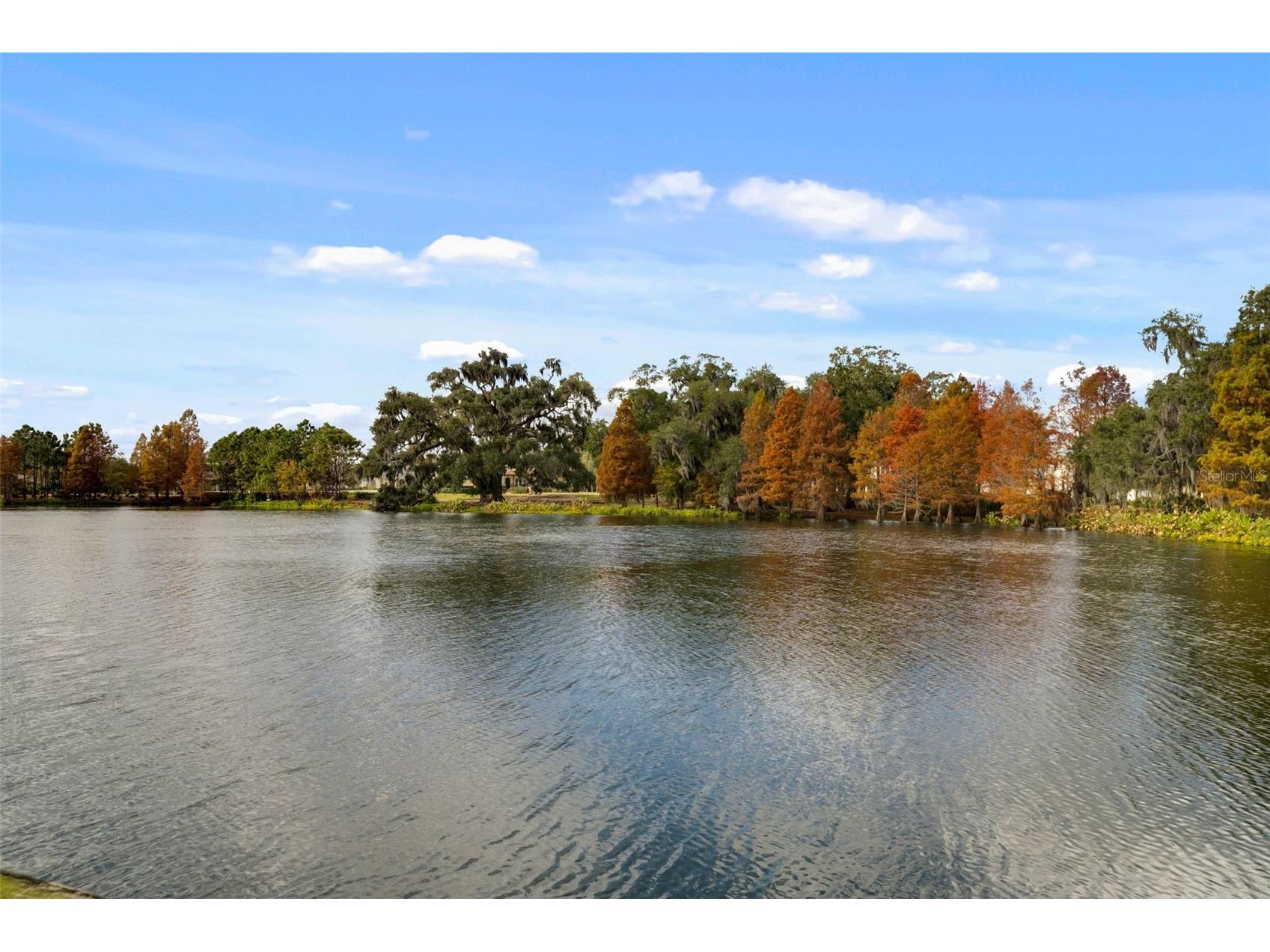 912 Landrum Drive Winter Garden FL 34787 O6407616 image59