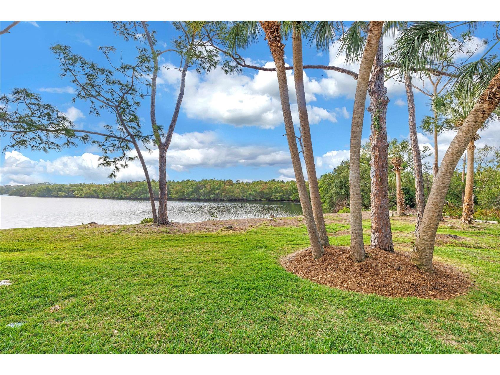 912 Myakka Court NE Saint Petersburg FL 33702 TB8485790 image22