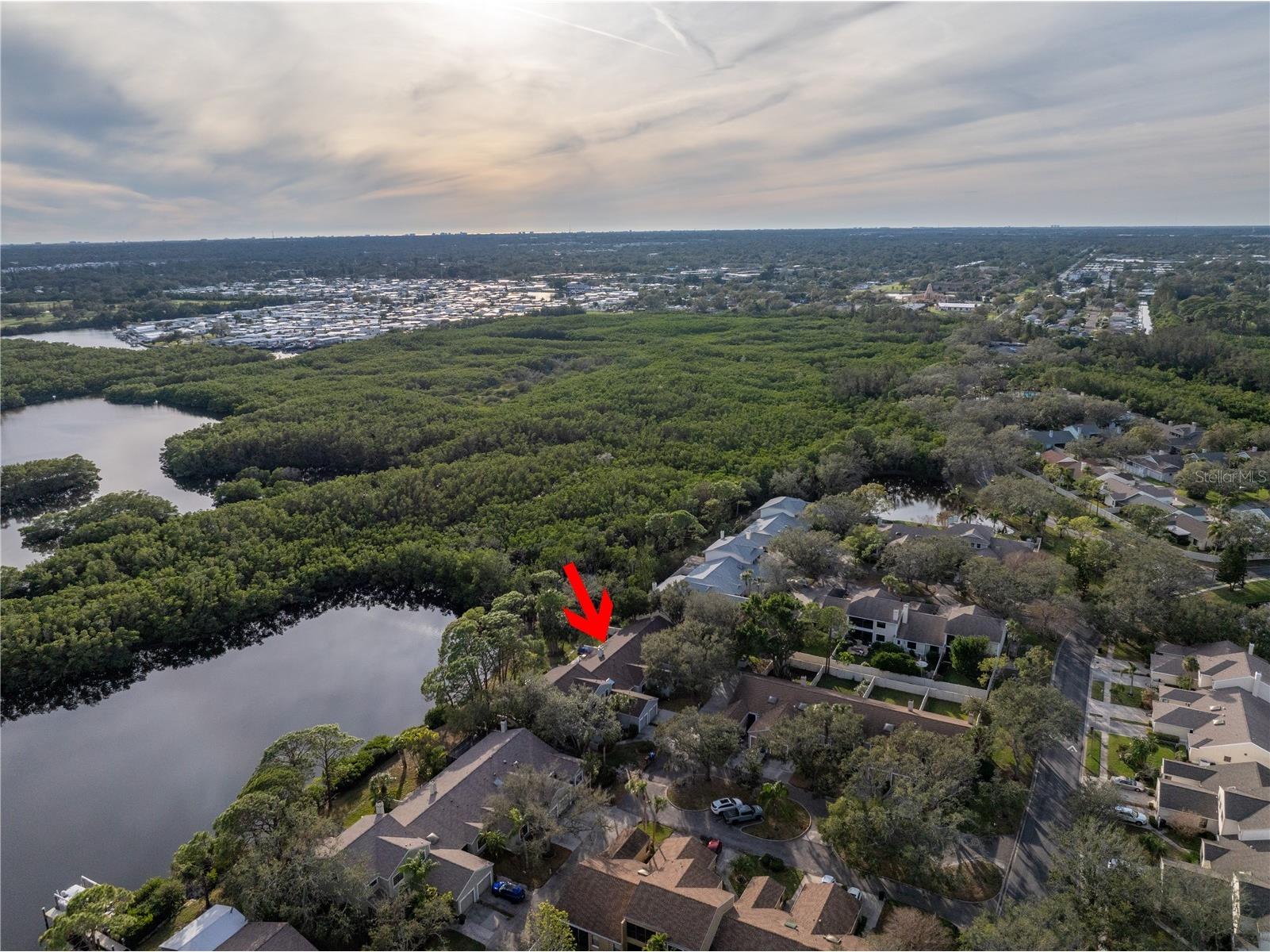 912 Myakka Court NE Saint Petersburg FL 33702 TB8485790 image27