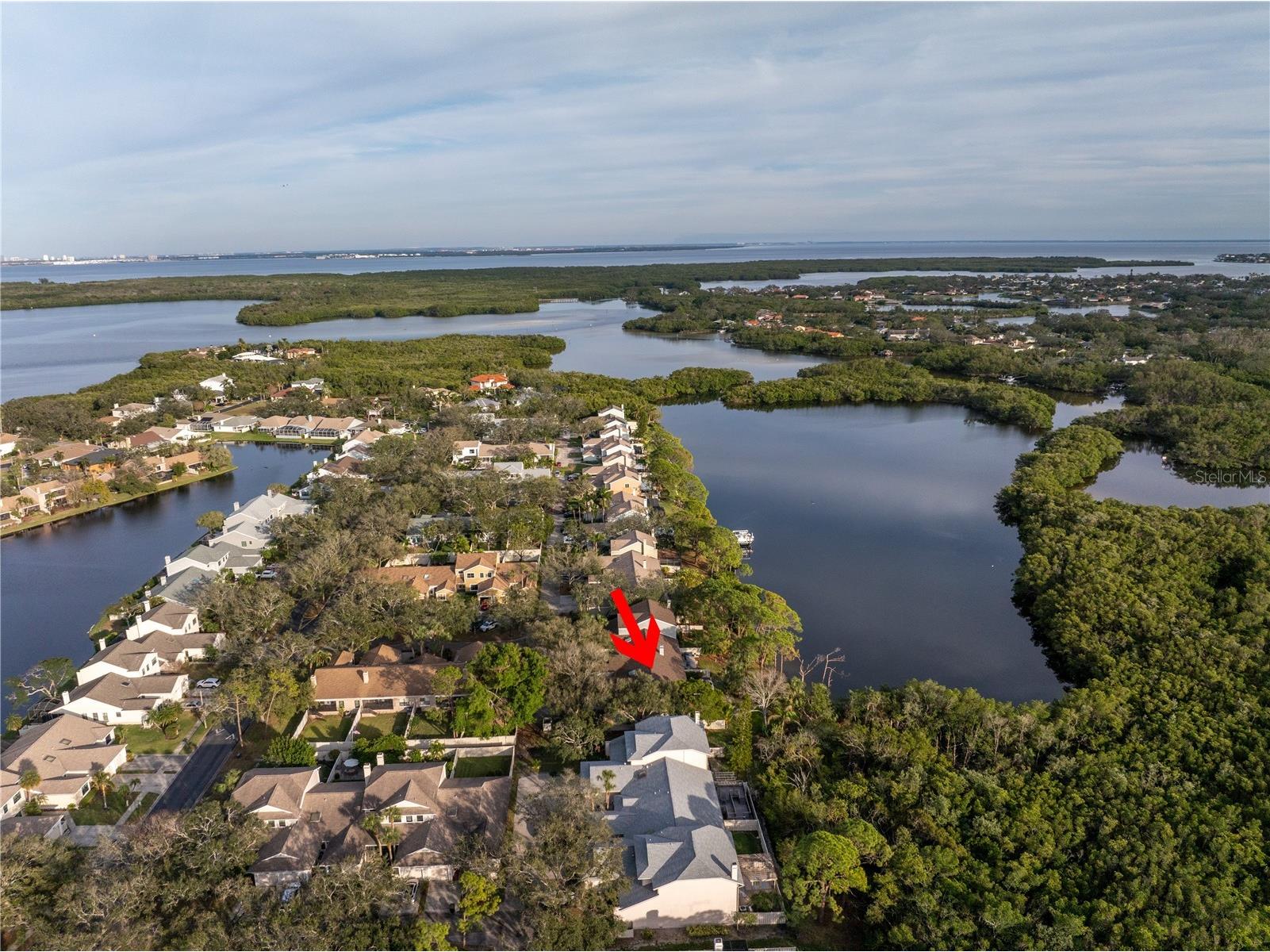 912 Myakka Court NE Saint Petersburg FL 33702 TB8485790 image29