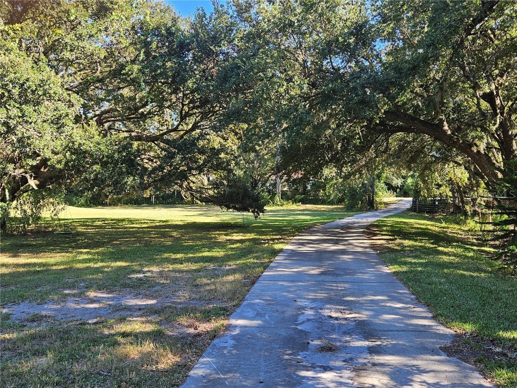 912 Old Polk City Road Lakeland FL 33809 O6354137 image5