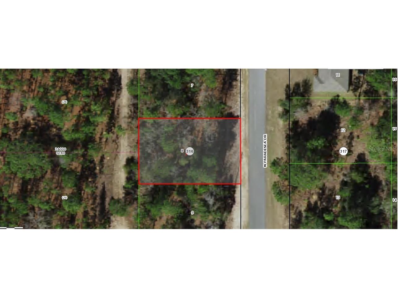 9120 N Paradisea Drive Citrus Springs FL 34433 O6309356 image1