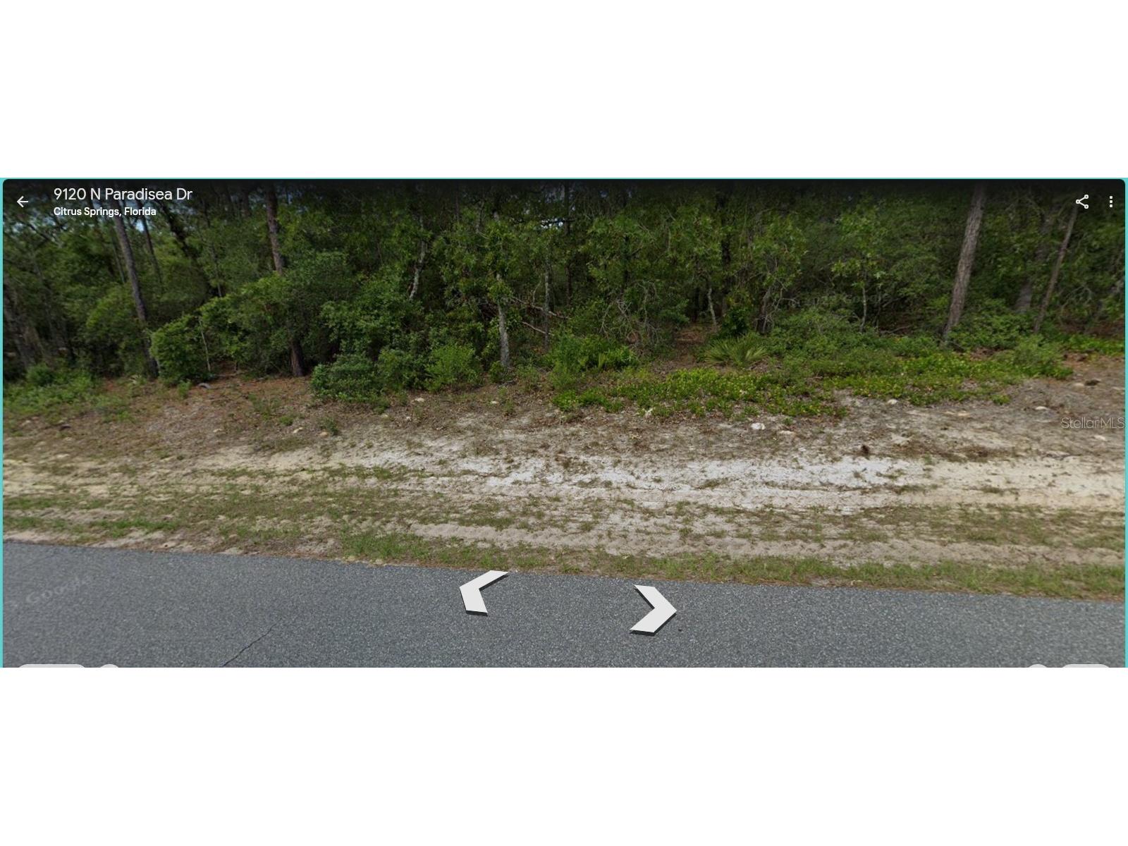 9120 N Paradisea Drive Citrus Springs FL 34433 O6309356 image2