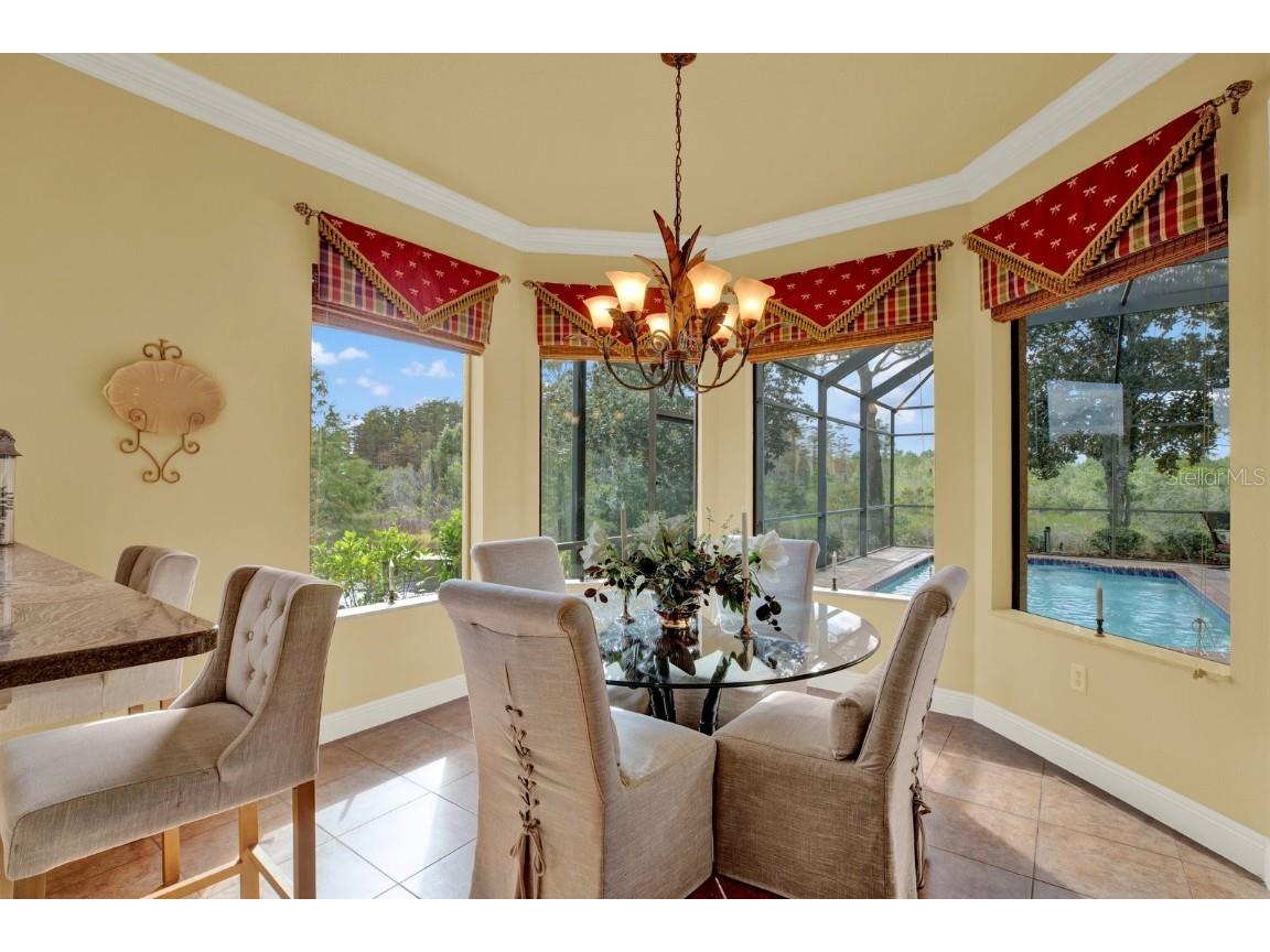 9121 Bonnie Cove Drive Weeki Wachee FL 34613 W7880380 image10