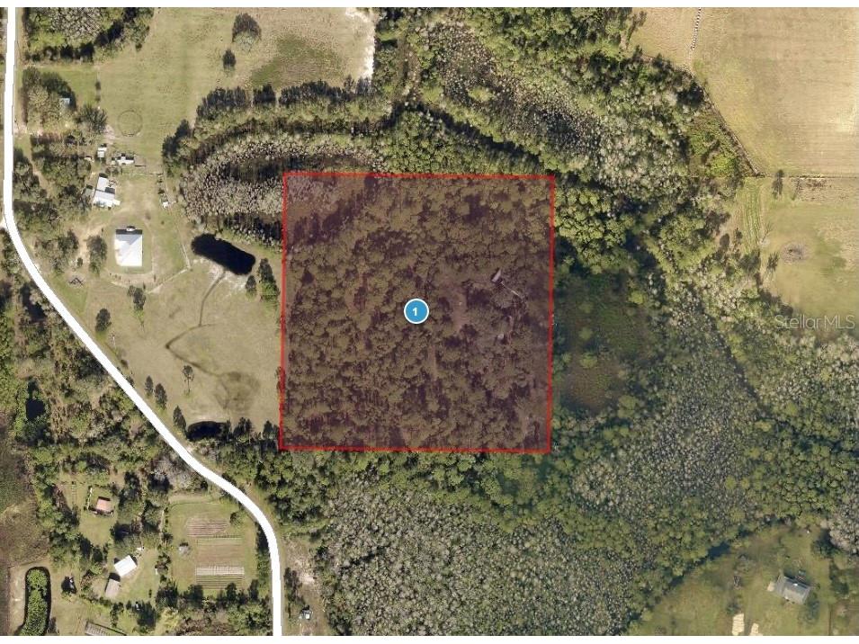 9121 Florida Boys Ranch Road Clermont FL 34711 S5136922 image2